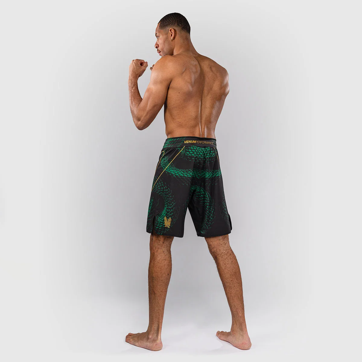 Calções de MMA Venum Matupa Preto-verde - Image 6